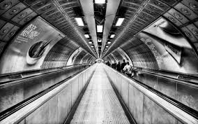 Strategy Consulting Market Sky-high projection