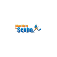 Dive Right In Scuba Logo