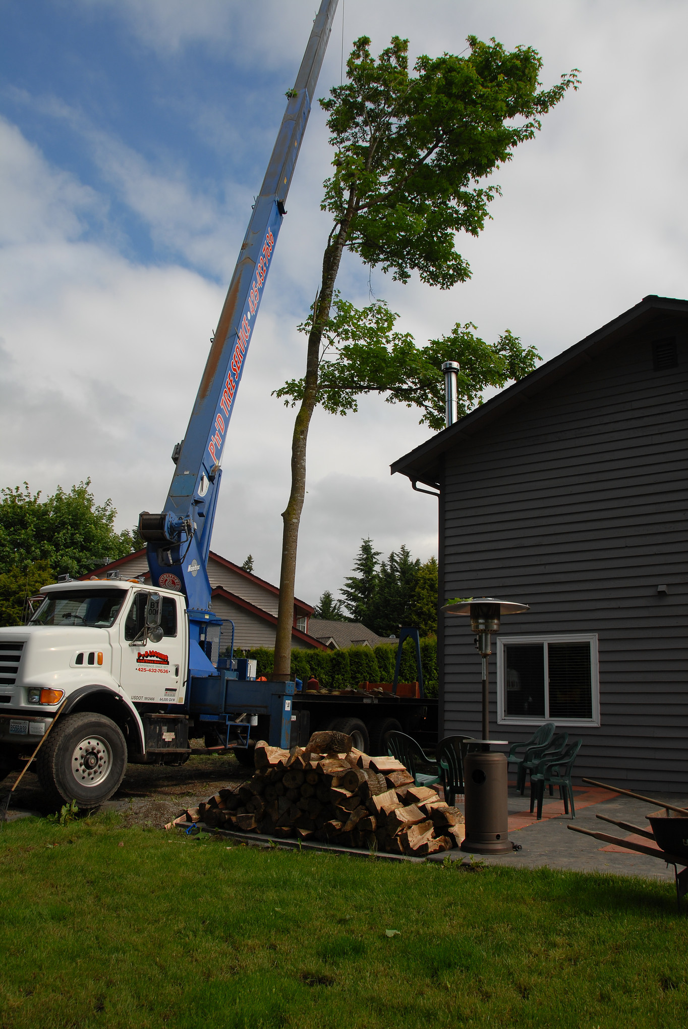 Tree Service'