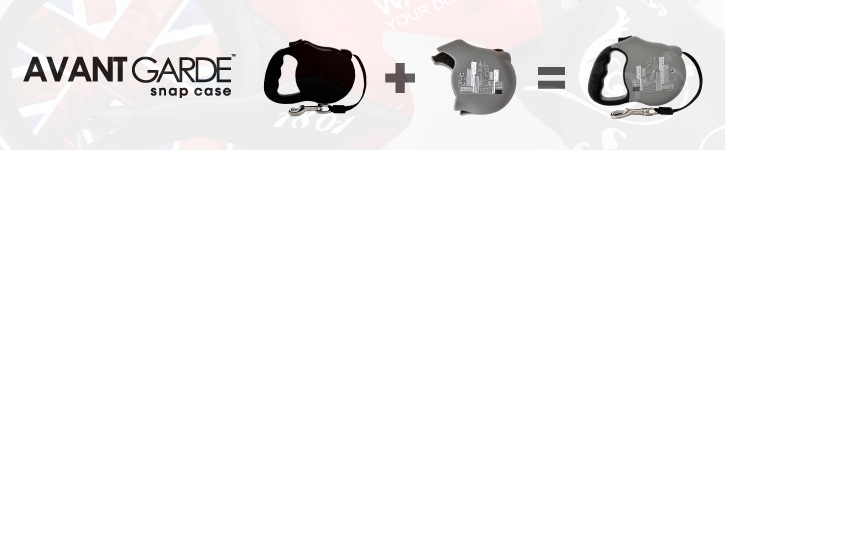 Snap Case Style Swap