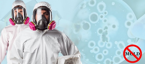 Company Logo For All US Mold Inspection NYC'