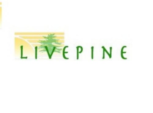Company Logo For Live Pine'