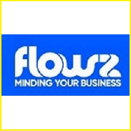 Company Logo For Flowz'