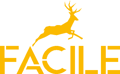 Company Logo For Facile Info-Serv Enters Digital IT Arena'