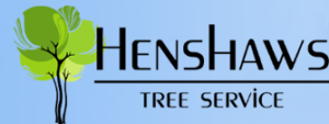 Company Logo For Henshaws Tree Service'