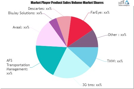 Transportation and Logistics Software Market