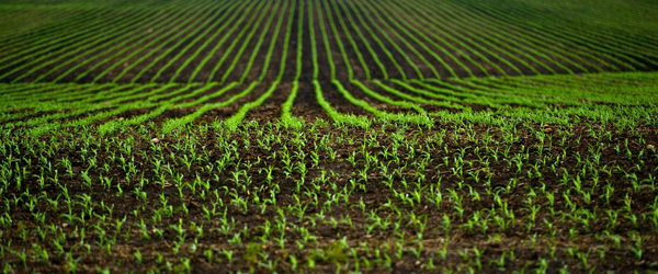 Global Farm Insurance Market'