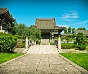 Company Logo For All Seasons Tree Service of Elgin'