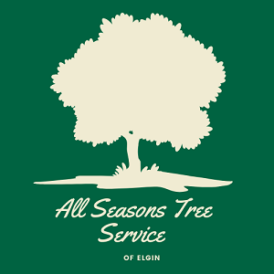 Company Logo For All Seasons Tree Service of Elgin'