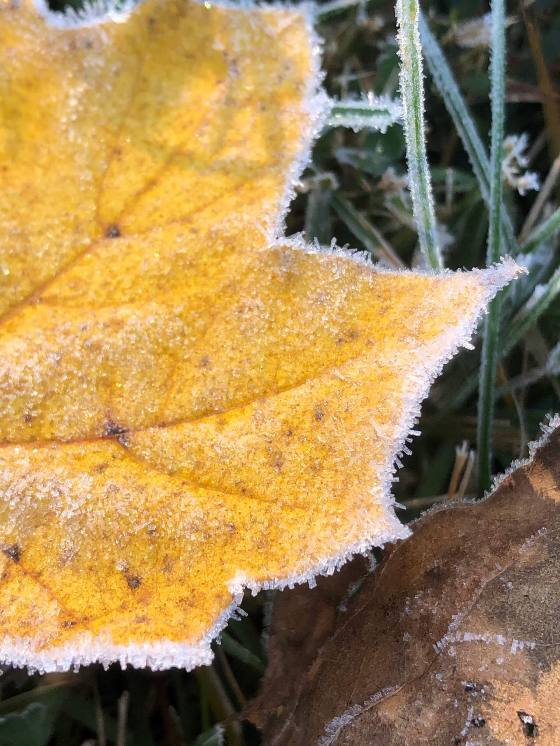 Things To Do Near Me'