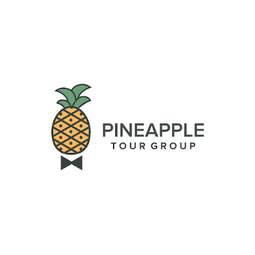 Company Logo For Pineapple Tour Group'