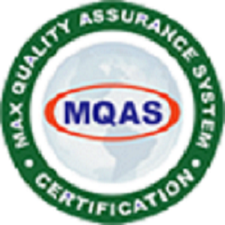 Company Logo For Max ISO Certification Services'