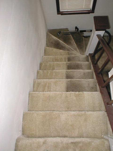 Company Logo For Rapid Dry Carpet Cleaning &amp; Restora'