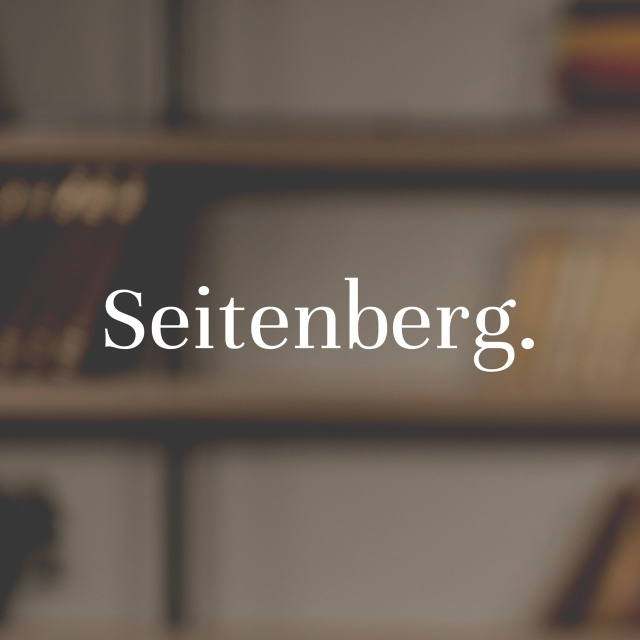 Company Logo For SEITENBERG LLC'