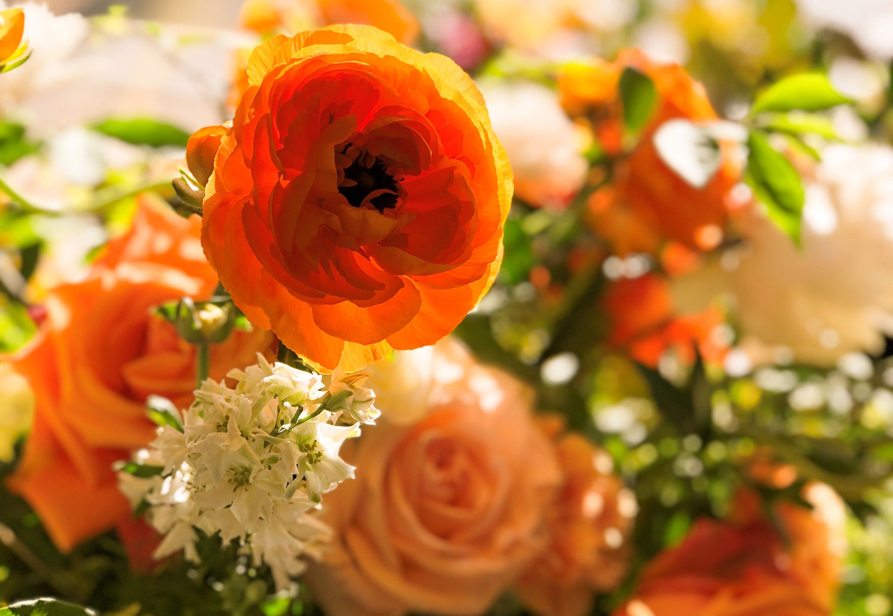Wedding Florist'