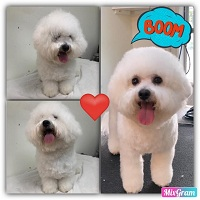 Melancon Pet Grooming