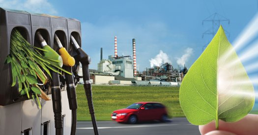 Bioenergy Market Unidentified Segments'