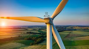 Wind Turbine Roto Blade Market'