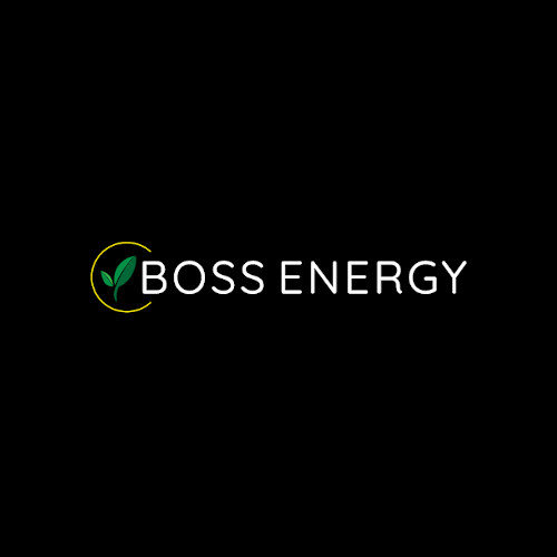 Company Logo For Boss Energy'