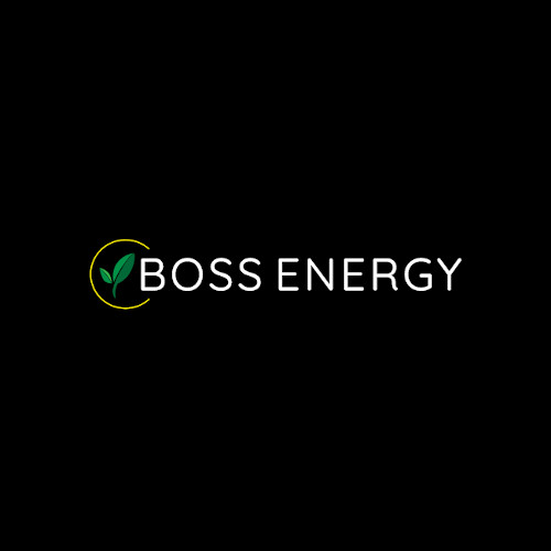 Boss Energy Logo