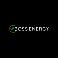 Boss Energy Logo