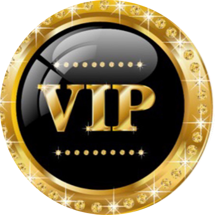 limo services nashville tn Logo