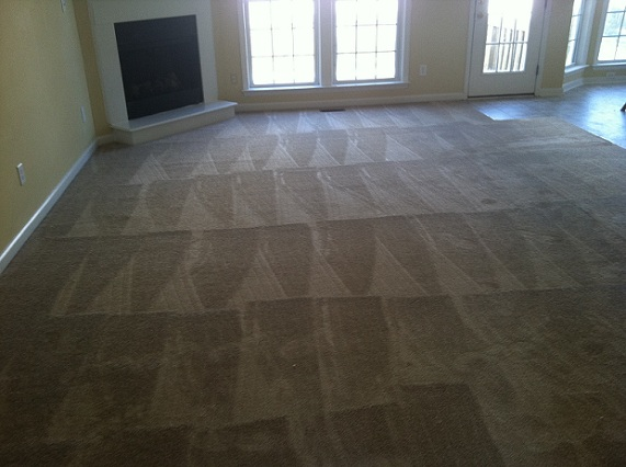 Apex carpet cleaning