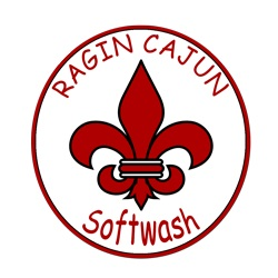 Company Logo For Ragin Cajun Softwash LLC'