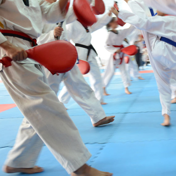 Taekwondo Classes'