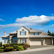 Mold Inspections'