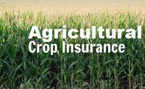 Agricultural Crop Insurance Market'