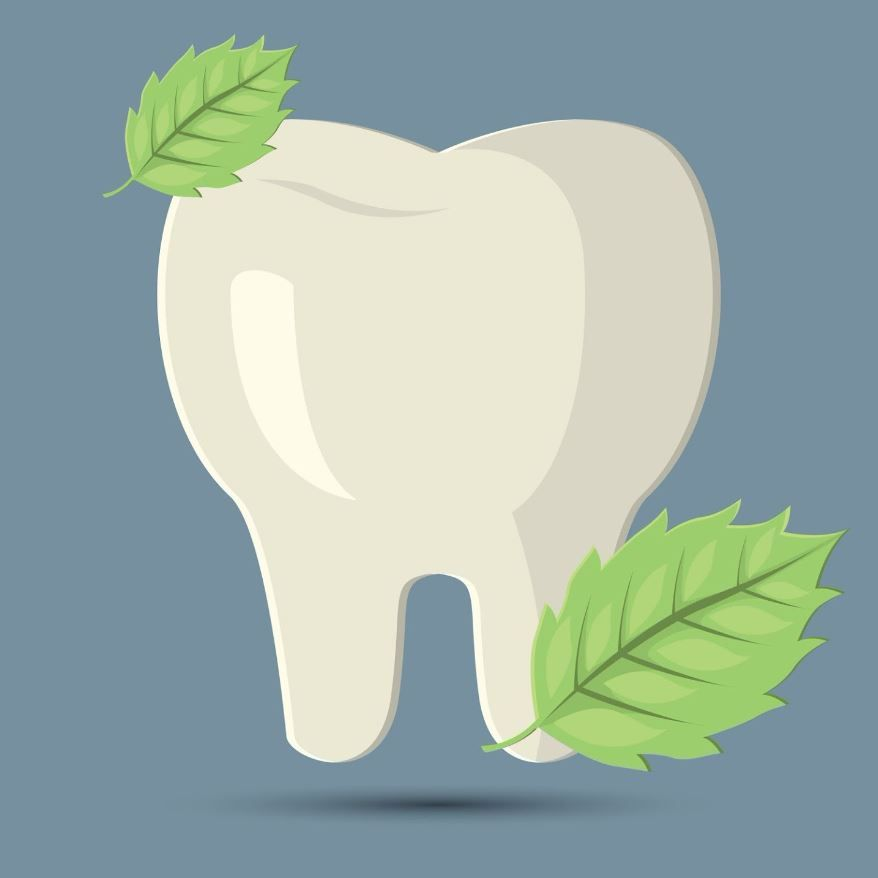 Company Logo For Ironwood Dental Center'