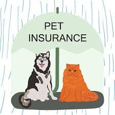 Pet Insurance for Dogs and Cats Market'