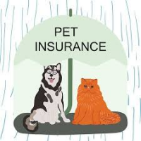 Pet Insurance for Dogs and Cats Market