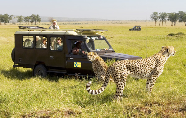Luxury Safari Tourism Market'