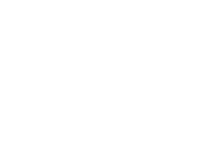 Fly Dreams