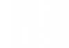 Fly Dreams