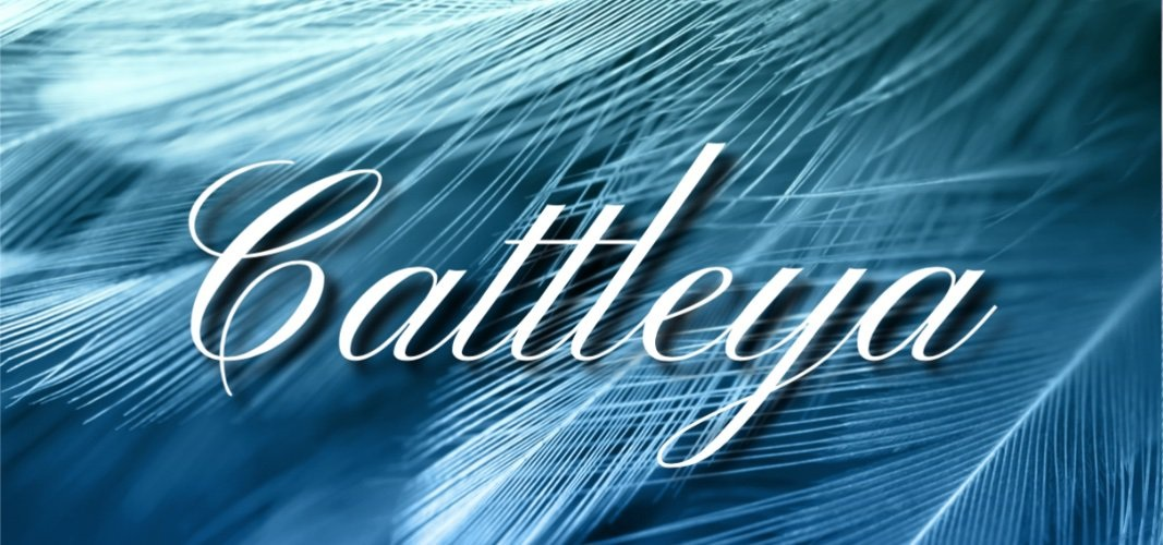 Company Logo For Cattleya Books'