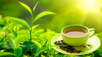 Green Tea Leaves Market