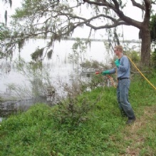 Lake Management'