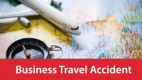 Business Travel Accident Market