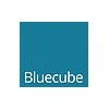 Company Logo For Bluecube Technology Solutions'