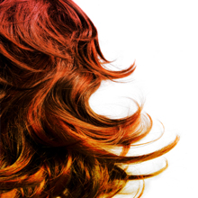 Women's Hair'