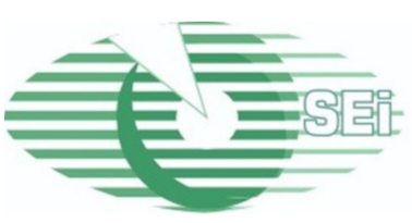 Sardana Eye Institute Logo'