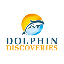 Dolphin Discoveries Logo