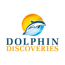 Dolphin Discoveries