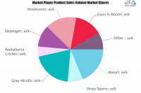 Cricket Helmet Market Is Thriving Worldwide