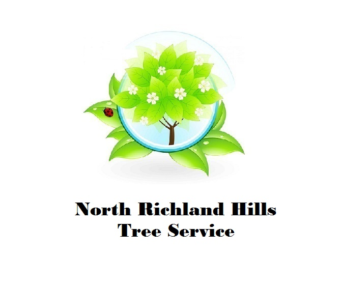 North Richland Hills Tree Service'