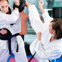 Rays American Karate and Self Defense Logo
