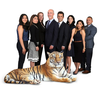 Tenants Rights Lawyers'